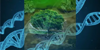 Biology